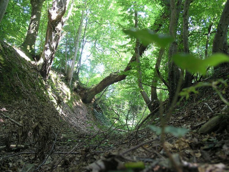Δάσος του Saint-Guignefort στη Ντομπ (φωτογραφία του χρήστη της Wikipédia Cú Faoil) 